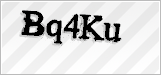 CAPTCHA security code
