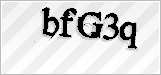 CAPTCHA security code