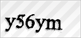 CAPTCHA security code
