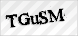 CAPTCHA security code