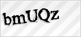 CAPTCHA security code