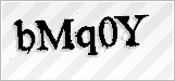 CAPTCHA security code