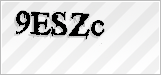 CAPTCHA security code