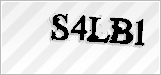 CAPTCHA security code