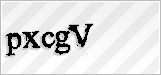 CAPTCHA security code