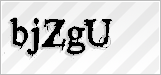 CAPTCHA security code