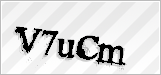 CAPTCHA security code