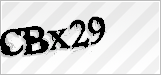 CAPTCHA security code