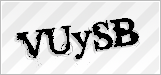 CAPTCHA security code