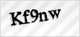 CAPTCHA security code
