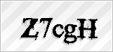 CAPTCHA security code