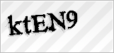 CAPTCHA security code
