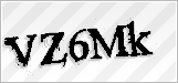 CAPTCHA security code