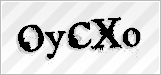 CAPTCHA security code
