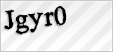 CAPTCHA security code