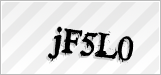 CAPTCHA security code