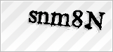 CAPTCHA security code