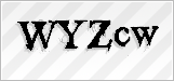 CAPTCHA security code