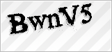 CAPTCHA security code