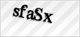 CAPTCHA security code