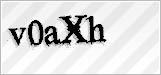 CAPTCHA security code