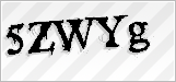 CAPTCHA security code