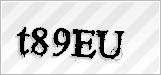 CAPTCHA security code