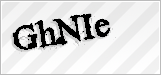 CAPTCHA security code