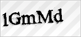 CAPTCHA security code