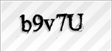 CAPTCHA security code