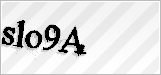 CAPTCHA security code