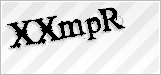 CAPTCHA security code