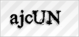 CAPTCHA security code