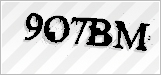 CAPTCHA security code
