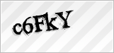 CAPTCHA security code