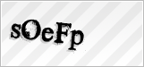 CAPTCHA security code