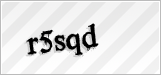 CAPTCHA security code
