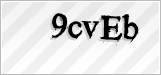 CAPTCHA security code