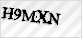 CAPTCHA security code