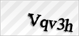 CAPTCHA security code