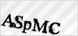 CAPTCHA security code
