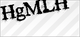 CAPTCHA security code