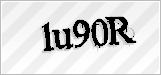 CAPTCHA security code