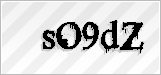 CAPTCHA security code