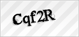 CAPTCHA security code