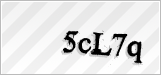 CAPTCHA security code