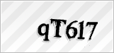 CAPTCHA security code