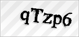 CAPTCHA security code