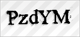 CAPTCHA security code