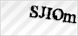 CAPTCHA security code